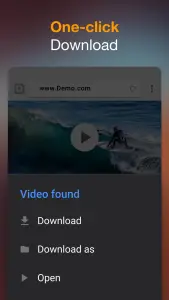 Video Downloader — تصویر 2