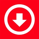 Video Downloader & Story Saver